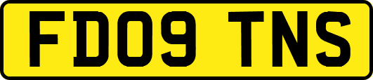 FD09TNS