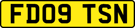 FD09TSN