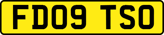 FD09TSO