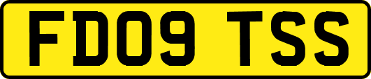 FD09TSS