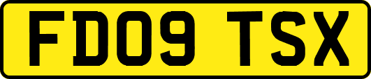FD09TSX
