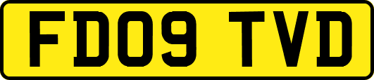 FD09TVD