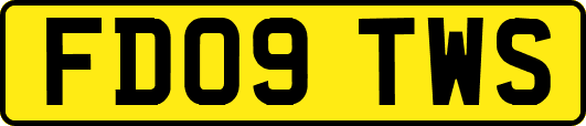 FD09TWS