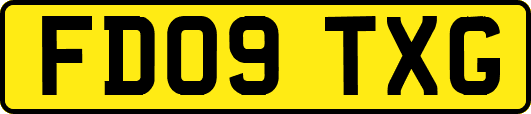 FD09TXG