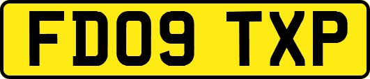 FD09TXP