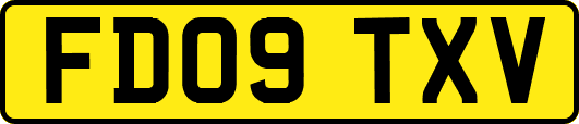 FD09TXV