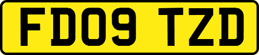 FD09TZD