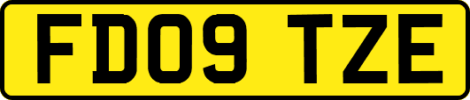 FD09TZE
