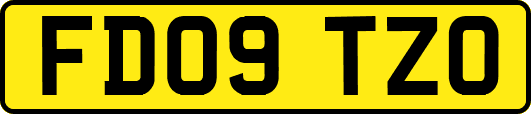 FD09TZO