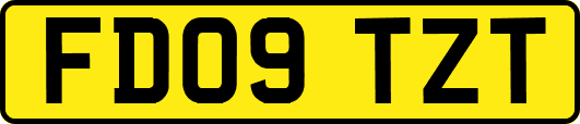 FD09TZT
