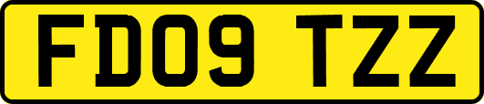 FD09TZZ
