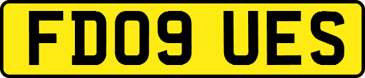 FD09UES
