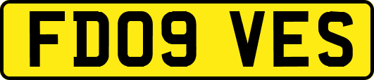 FD09VES