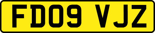FD09VJZ