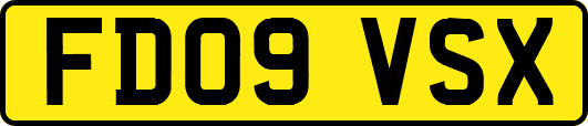 FD09VSX