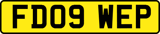 FD09WEP