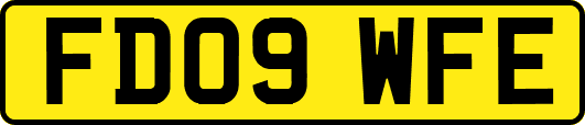 FD09WFE