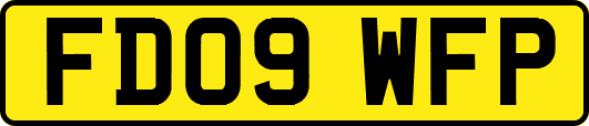 FD09WFP