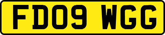 FD09WGG