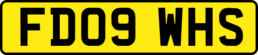 FD09WHS