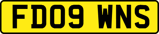 FD09WNS