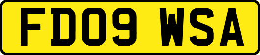 FD09WSA