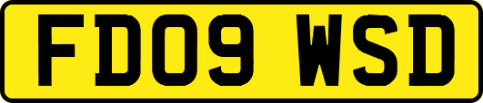 FD09WSD