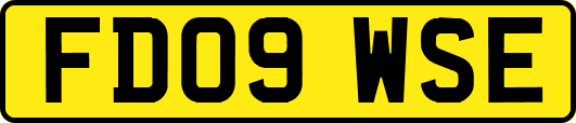 FD09WSE