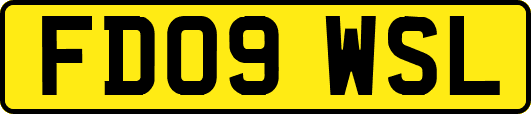 FD09WSL