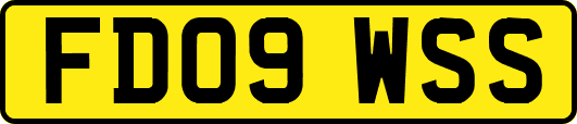 FD09WSS
