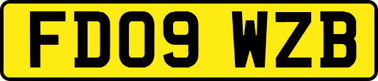 FD09WZB