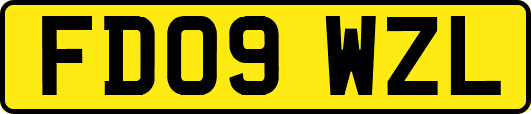 FD09WZL