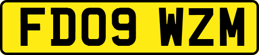 FD09WZM