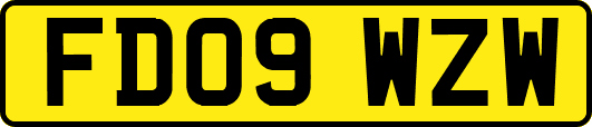 FD09WZW