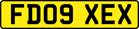 FD09XEX