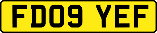 FD09YEF
