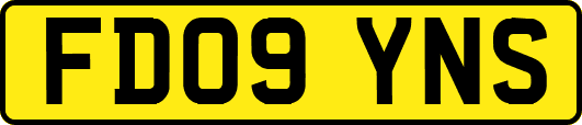 FD09YNS
