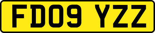 FD09YZZ