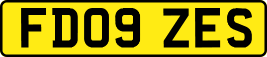 FD09ZES