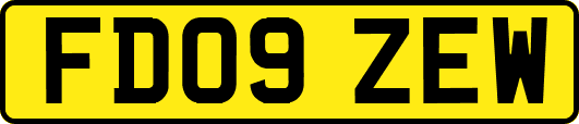 FD09ZEW