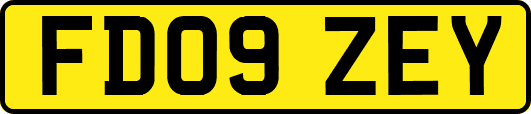 FD09ZEY