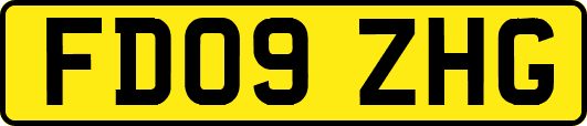 FD09ZHG