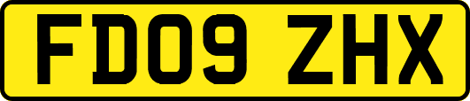 FD09ZHX