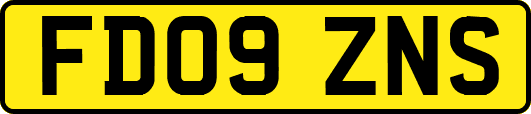 FD09ZNS