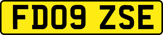 FD09ZSE