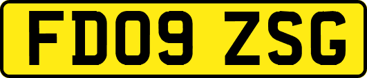 FD09ZSG