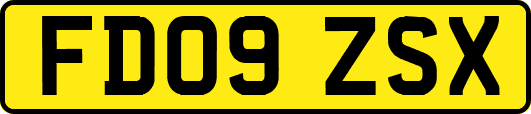 FD09ZSX