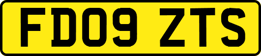 FD09ZTS