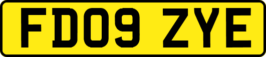FD09ZYE