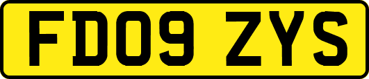 FD09ZYS